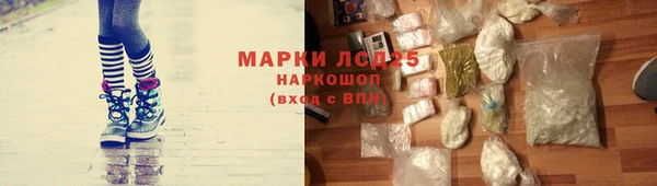 спиды Мосальск