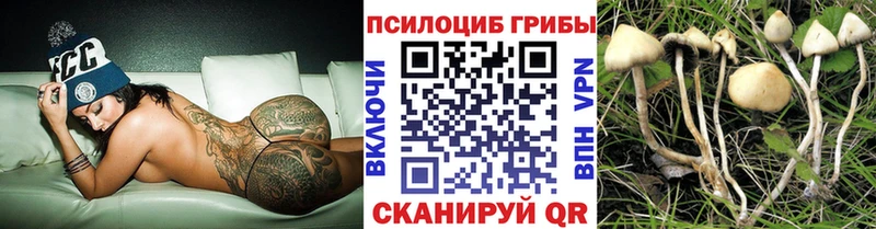 кракен вход  Северобайкальск  Псилоцибиновые грибы мухоморы 