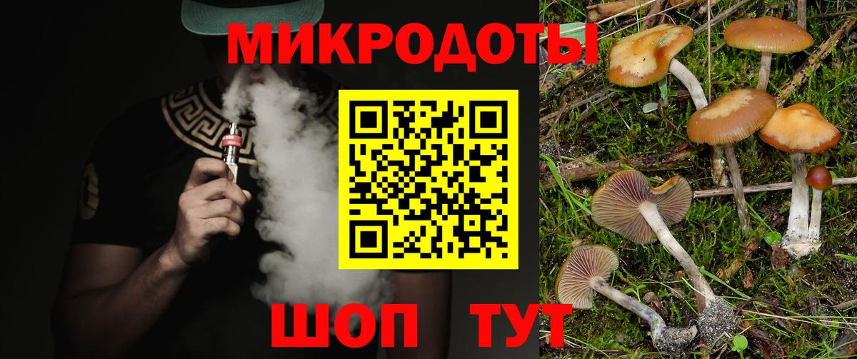 Псилоцибиновые грибы ЛСД  Псилоцибиновые грибы ЛСД  Вход с VPN  Северобайкальск 